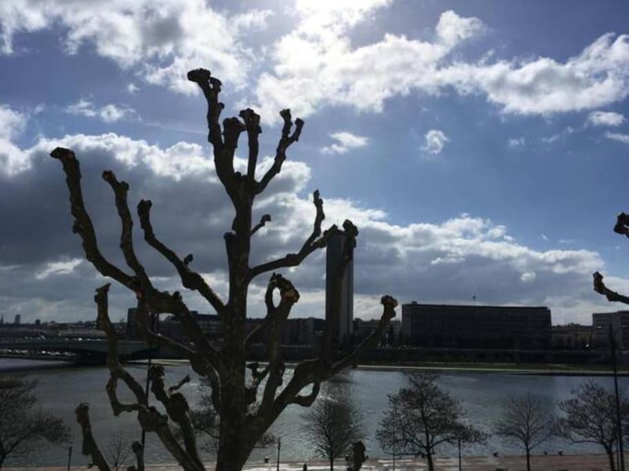 Apartament La Cathedrale - Vue Sur Seine Rouen Zewnętrze zdjęcie
